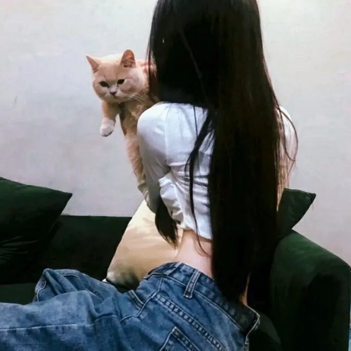 纽约孤儿